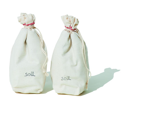 Drying Sack für Schuhe Soil