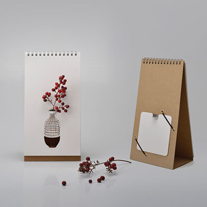 Dot Hook Vakuumhacken APY