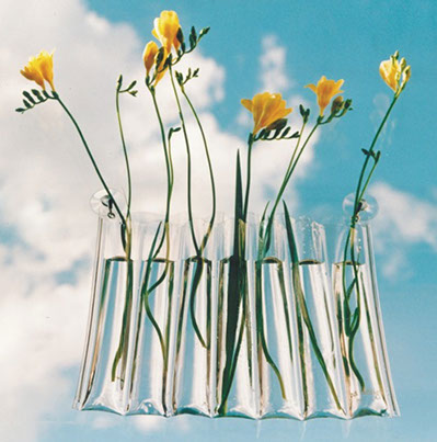 Tlaloc Vase PaDesign