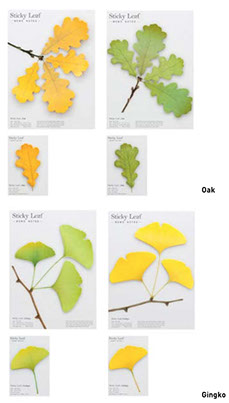 Sticky Notes Ginko PaDesign