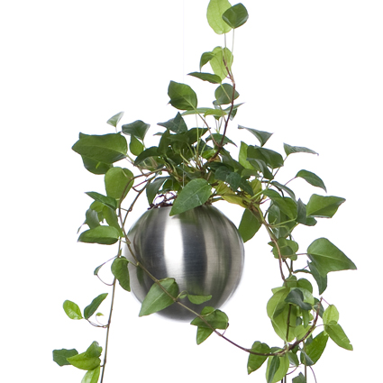 Dot Hook Vakuumhacken APY