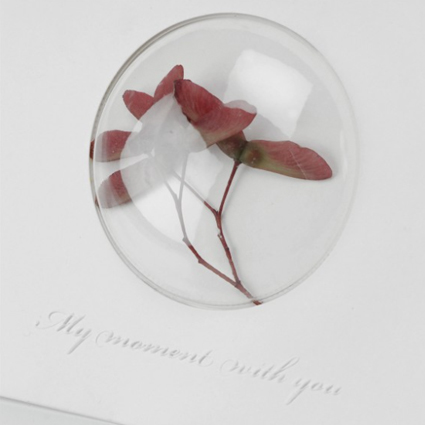 Dear O Karte PaDesign